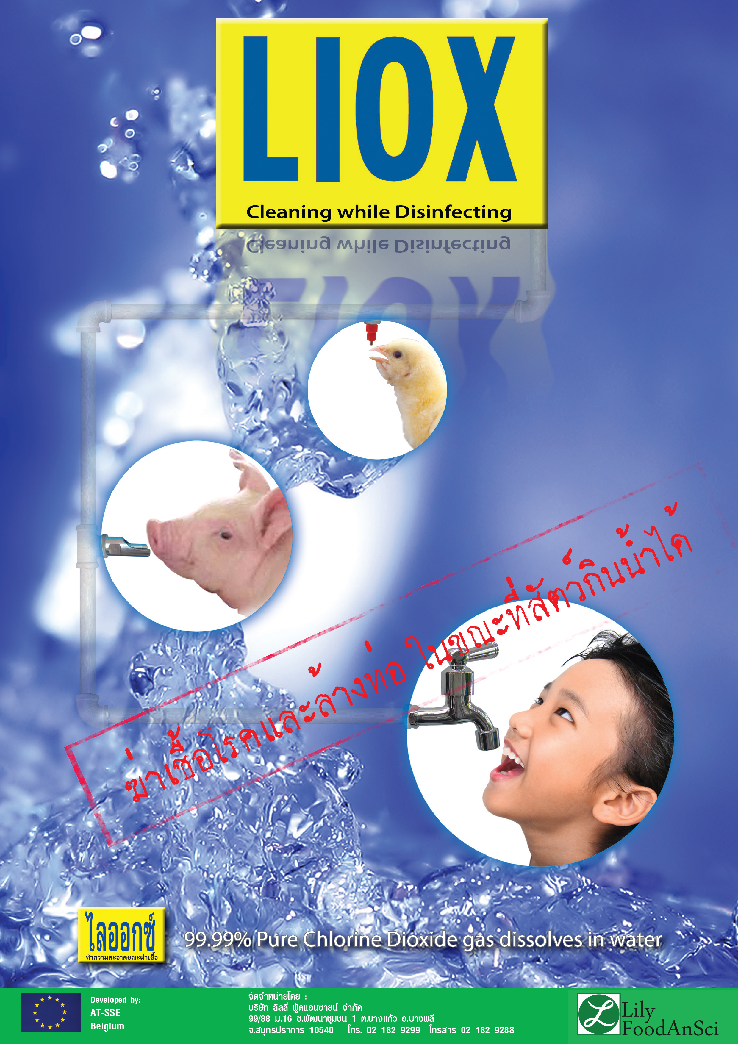 Liox-Poster